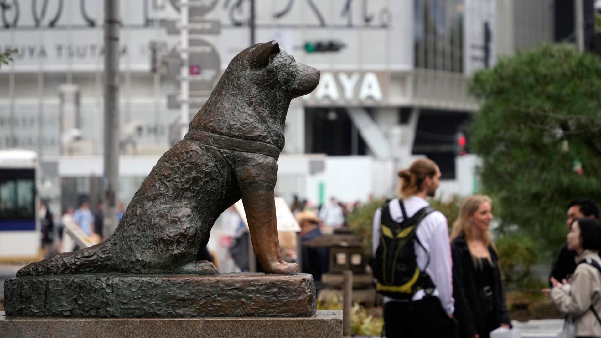 Hachiko, Un Siglo Del Natalicio Del 'Perro Fiel' Que Esperaba A Su ...