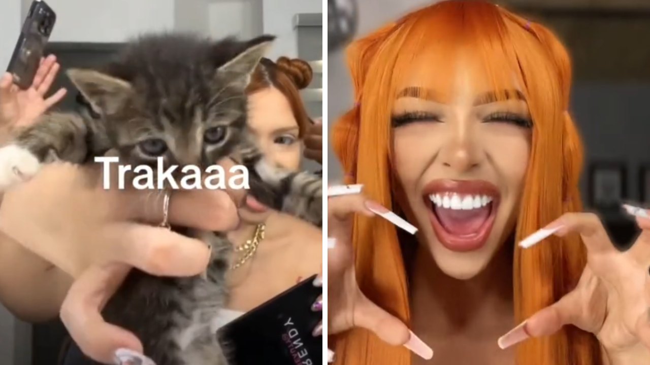 ¿qué Significa Traka En Tiktok Así Nació Esta Famosa Palabra En México Nemk 1819