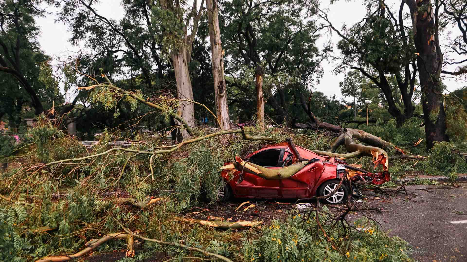 Declaran Estado de Emergencia y Duelo en Buenos Aires por Tormenta que