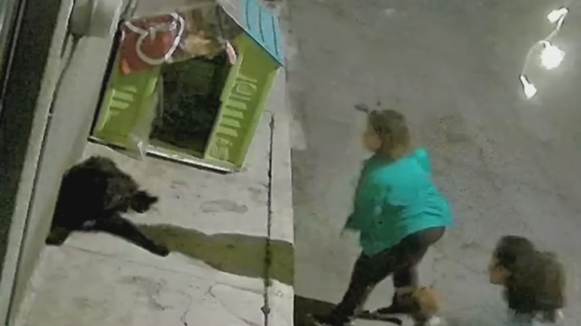 ¡Indignante! Señoras Agreden a Perro Callejero en Iztapalapa