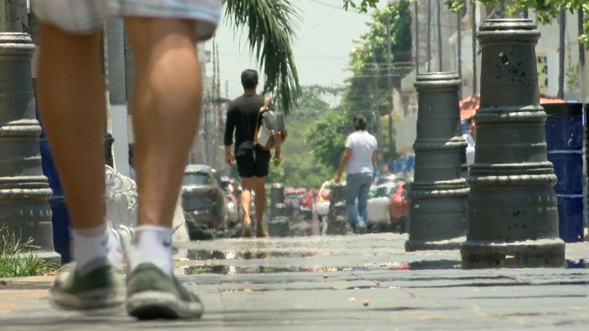 Pronóstico Del Clima 2024 Estas Temperaturas Predominarán Este Año N 4368