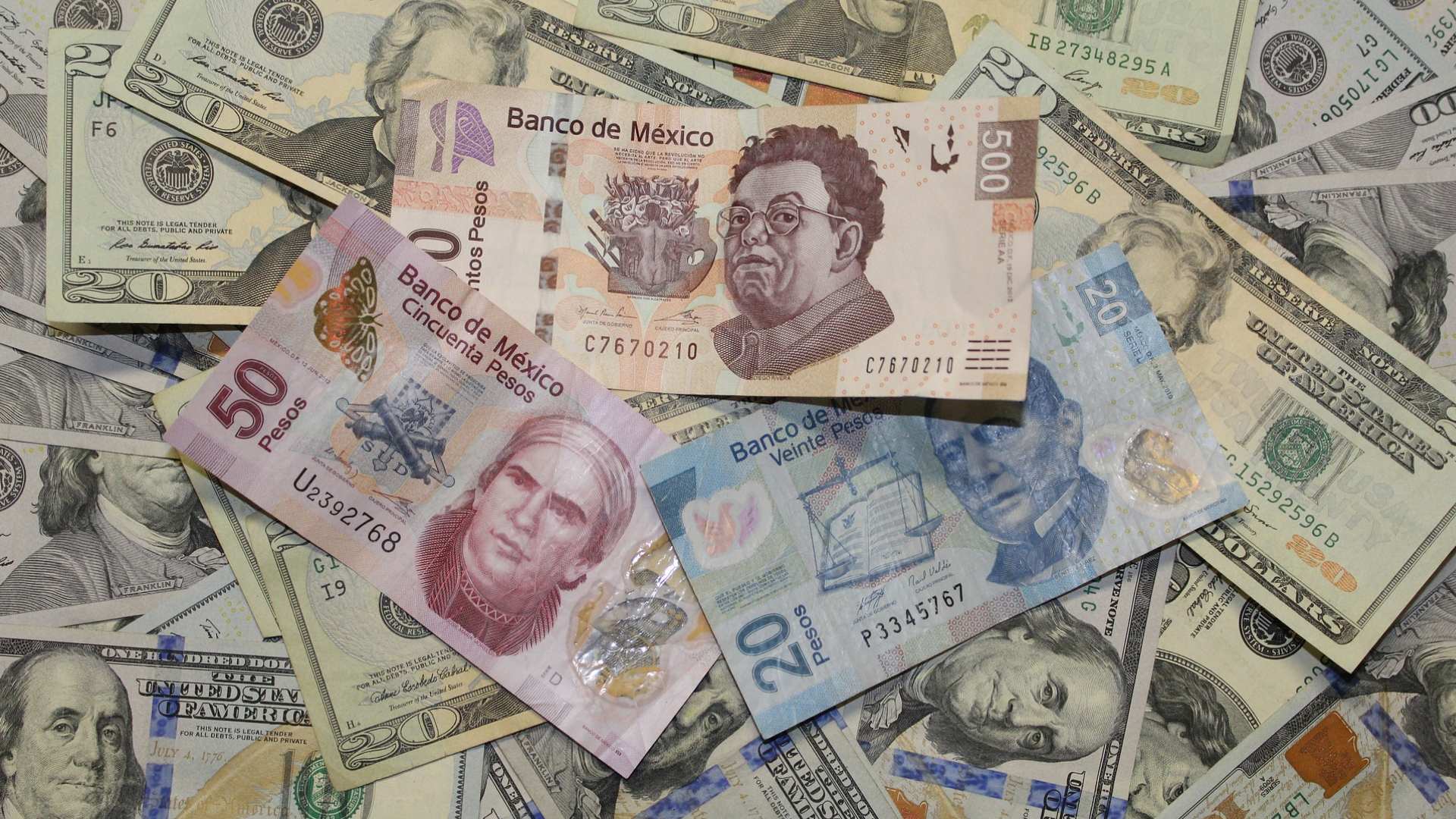 Dólar en 2024 ¿Subirá o Bajará ante el Peso Mexicano? Este es el
