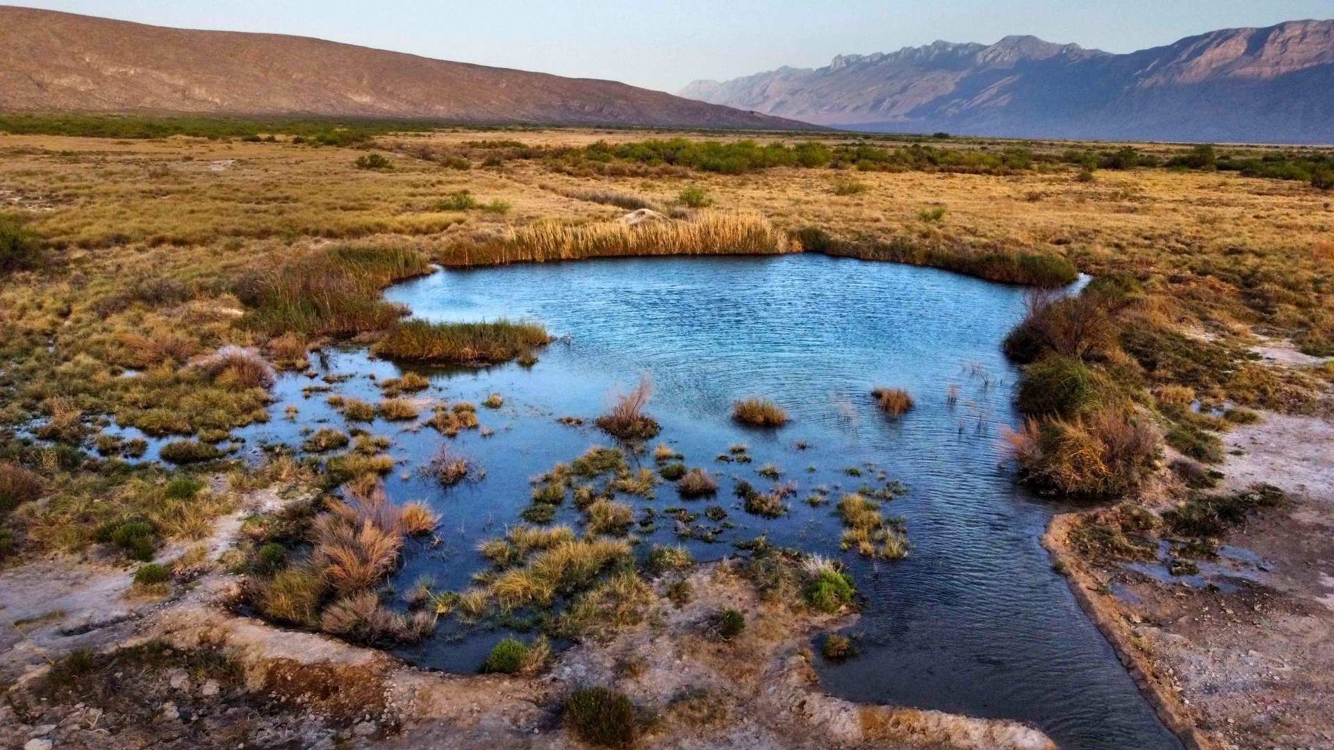 Microorganismos de Cuatro Ciénegas Podrían Originar Nuevos Antibióticos ...