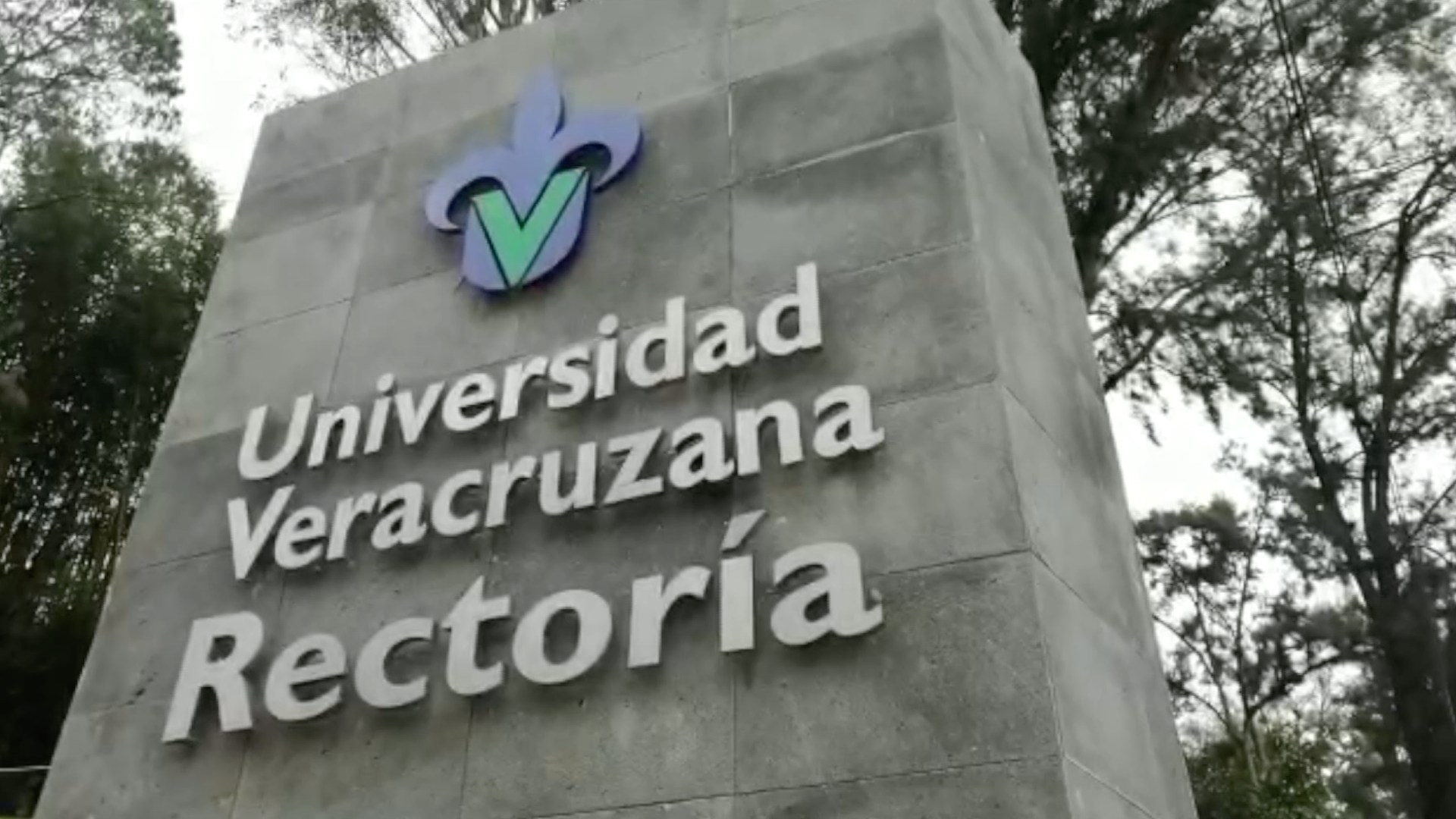 Universidad Veracruzana Publica Convocatoria De Ingreso 2024 Fechas Y Requisitos N 1516