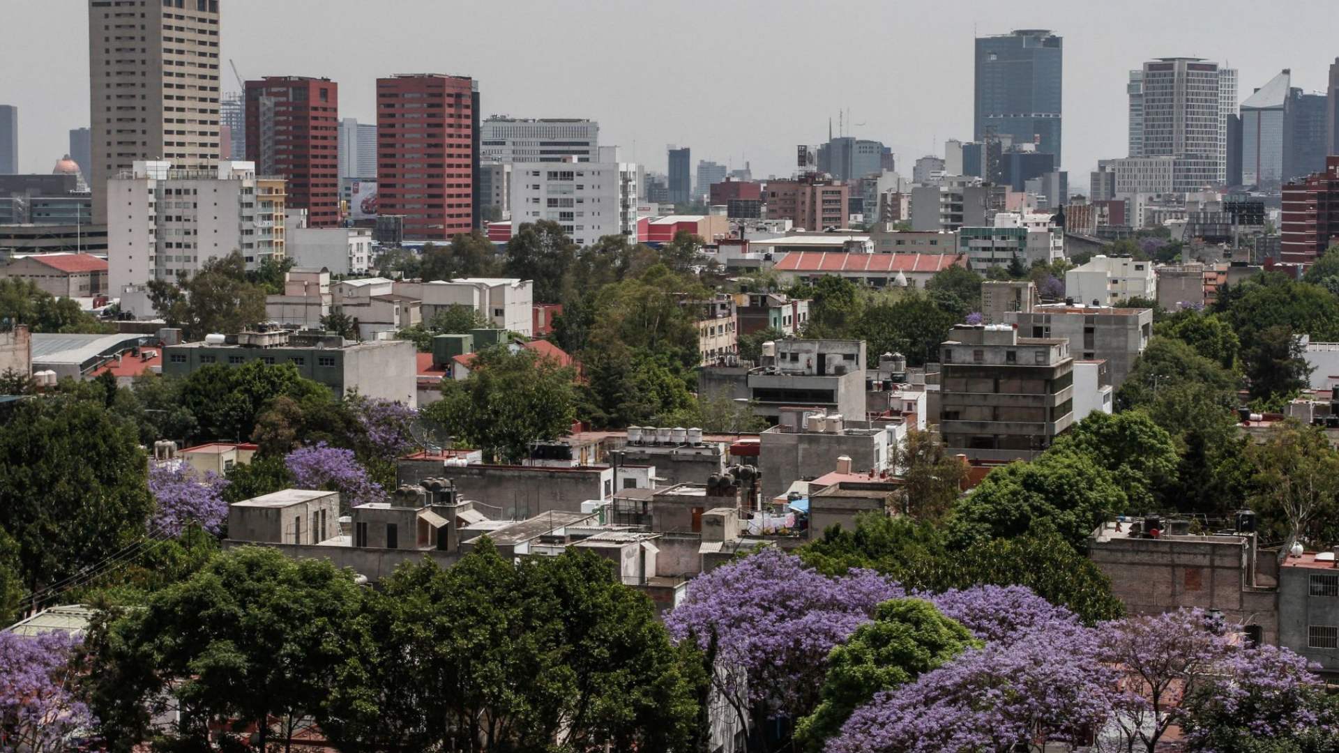 Sigue la Contingencia Ambiental y Doble Hoy No Circula en CDMX Hoy 7 de