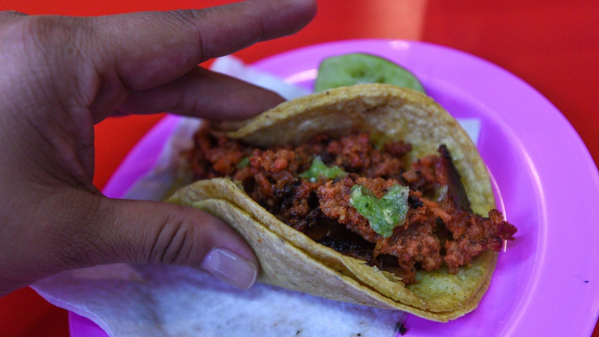 ¿Cuándo es el Día del Taco en México 2024? En Esta Fecha se Celebra a ...