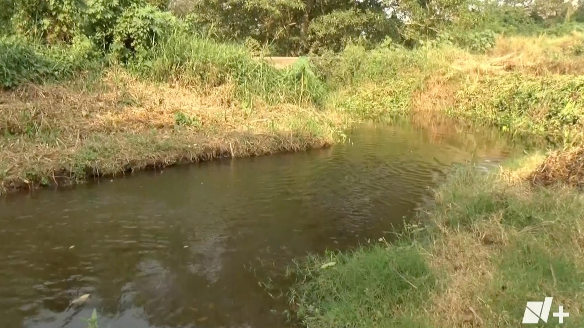 Cuida Del Rio Mujer Benefactora del Medio Ambiente Cuida Río en Veracruz Desde Hace ...
