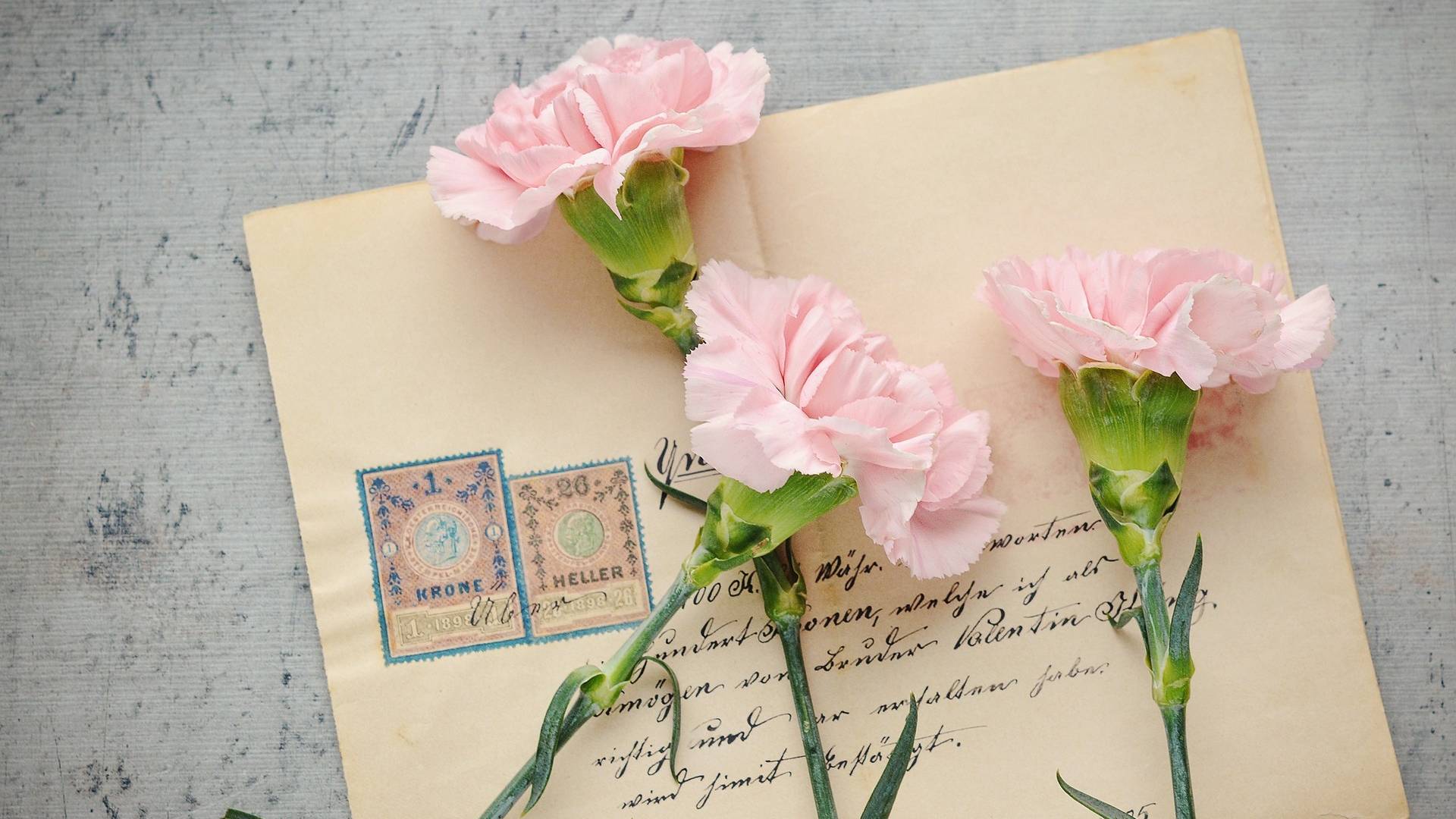 50 Frases para Día de las Madres: Felicitaciones Cortas y Bonitas para Mamá  ¡Feliz 10 de Mayo! | N+
