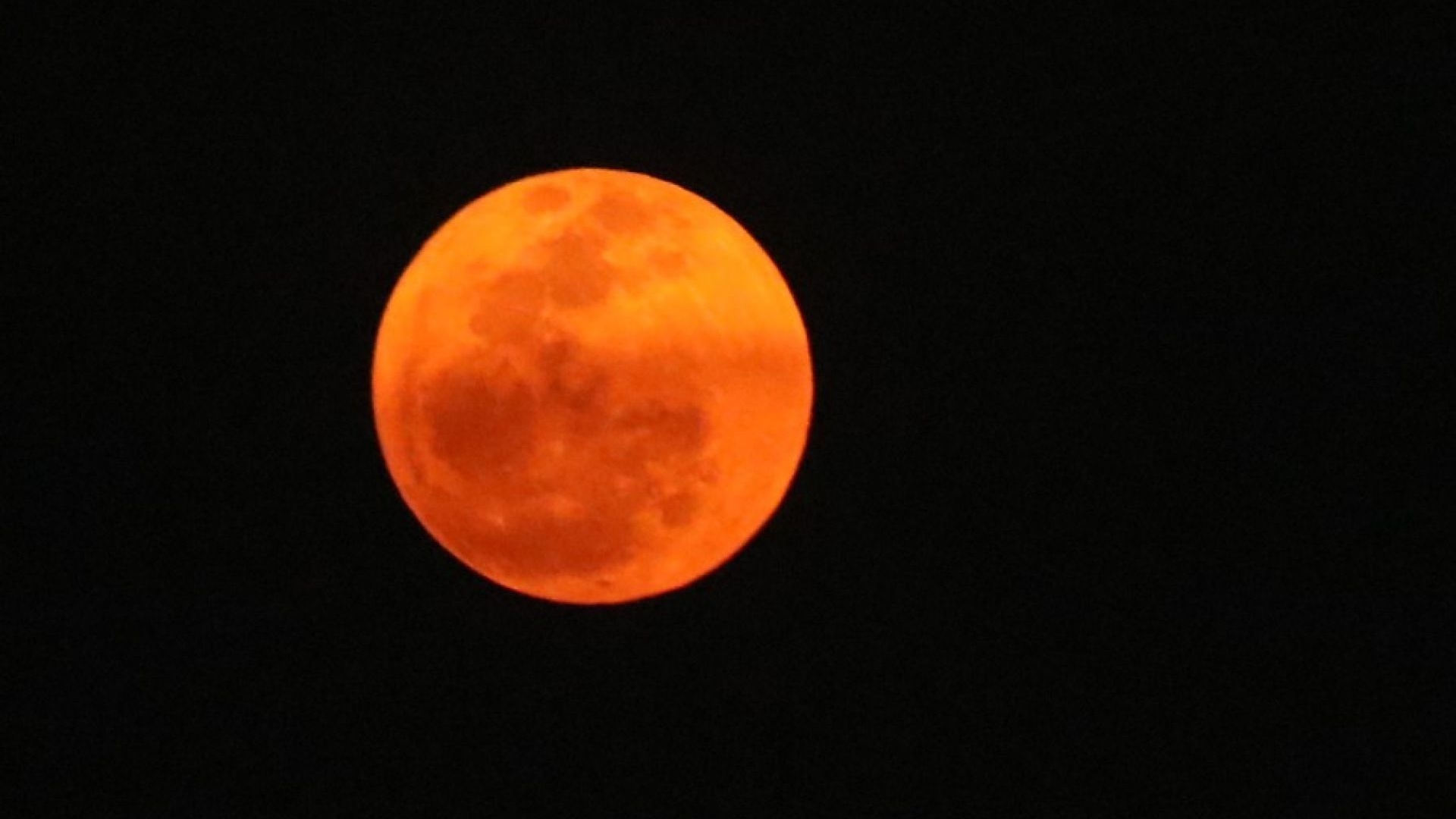 Fotos de la Luna Rosa Así Se Vio Hermoso Espectáculo en el Cielo de