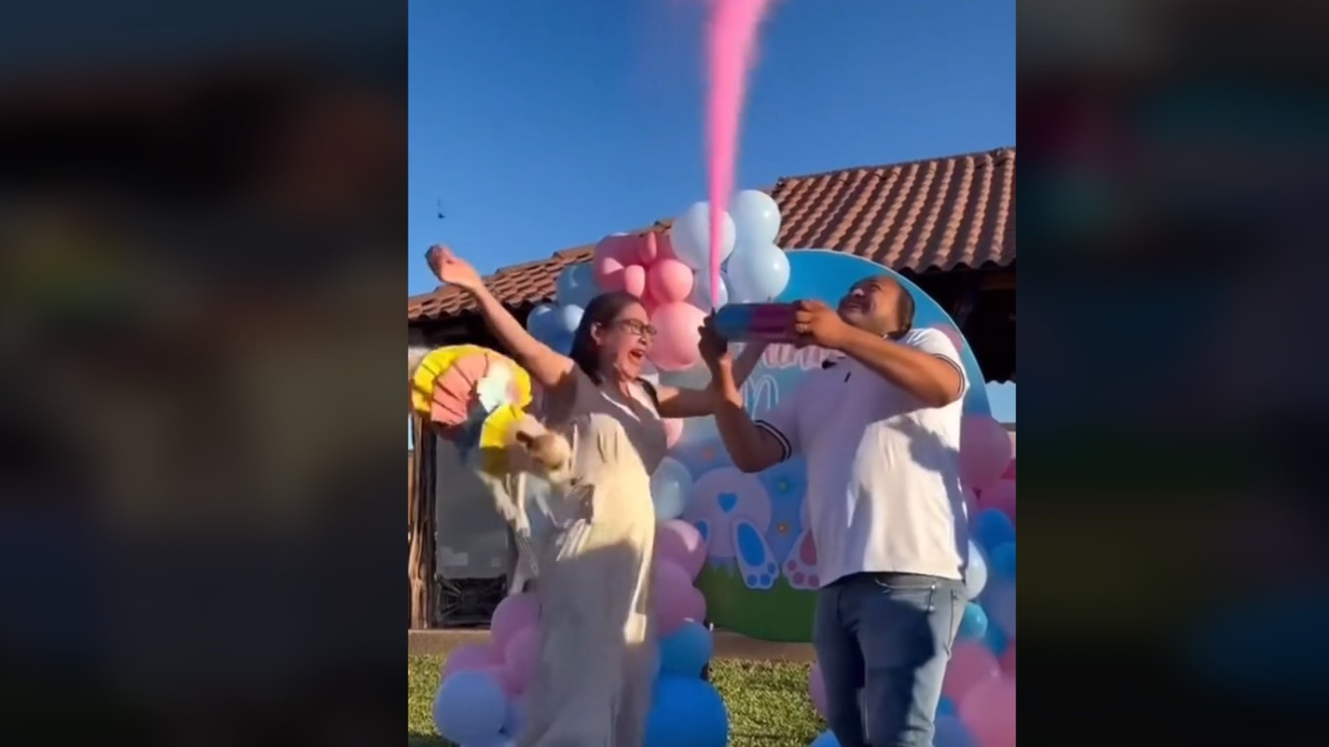 Mujer Avienta a su Perrito Durante Ceremonia de Revelación de Género y  Causa Indignación | N+