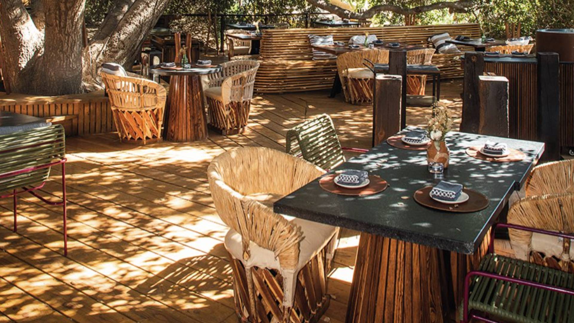 Restaurantes con Estrella Michelin en México Lista y Ubicaciones de