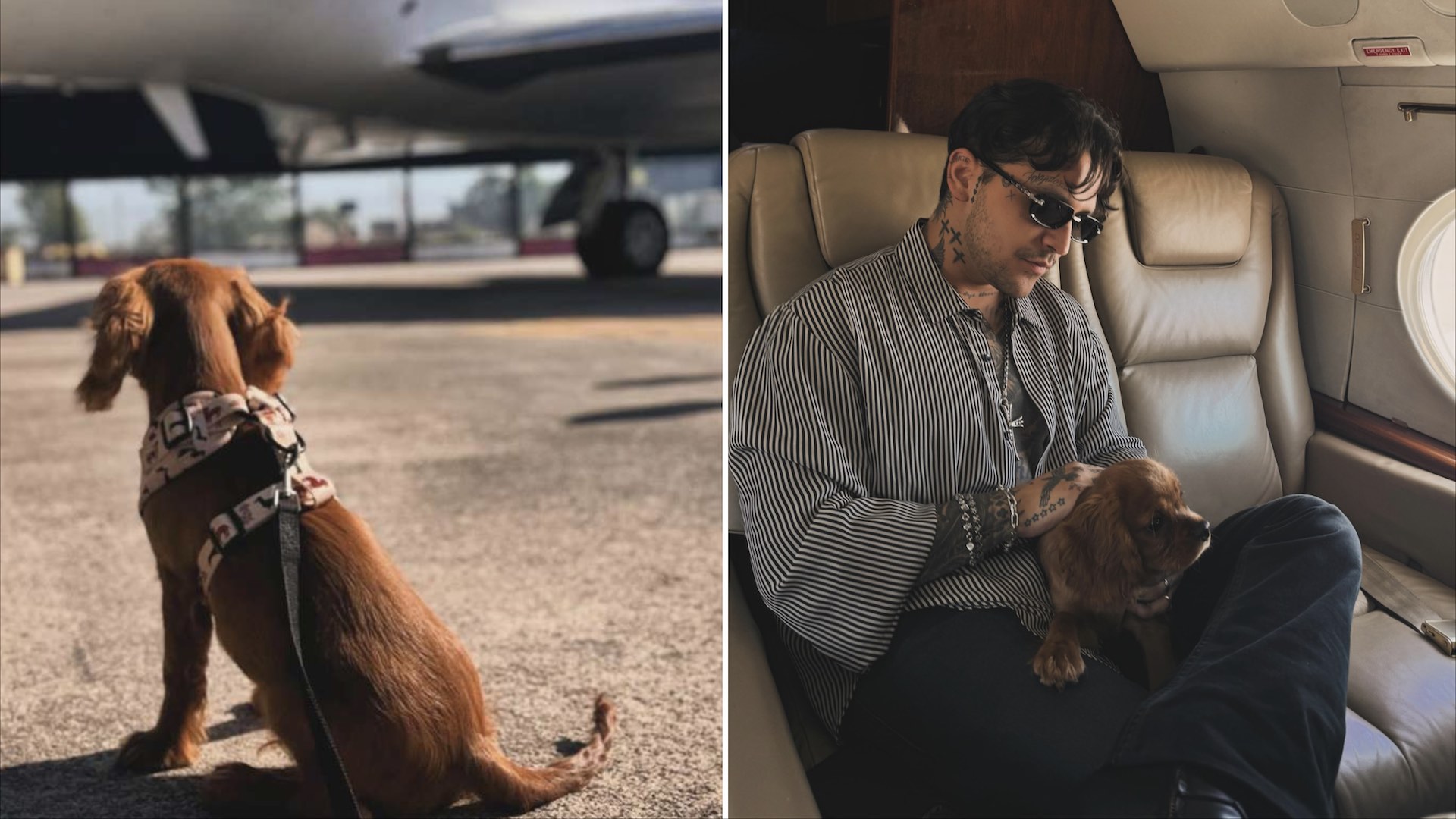 Christian Nodal le Crea Cuenta de Instagram a su Perro Chichí