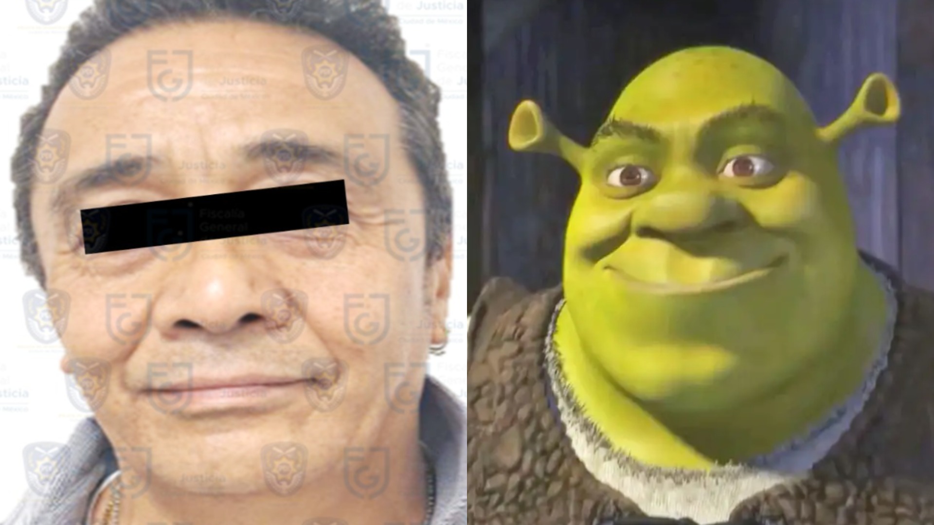 Alfonso Obregón is Linked: Dubbing Actor and Voice of Shrek Will Face Trial for Sexual Abuse