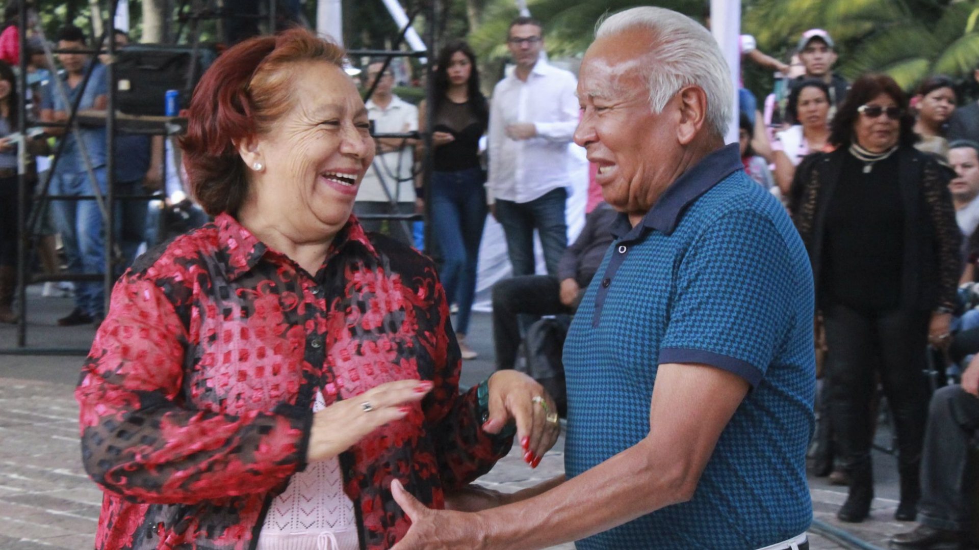 Frases Para el Día de los Abuelos 2024: Los Mejores y Más Bonitos ...