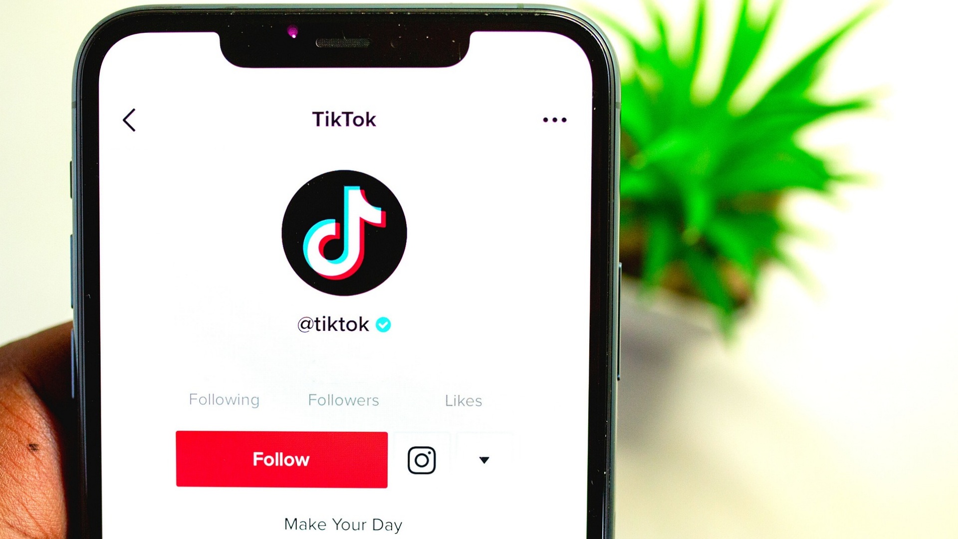 Wrapped For TikTok 2024 ¿Cómo Abrir Mi Resumen Anual? Así lo Puedes