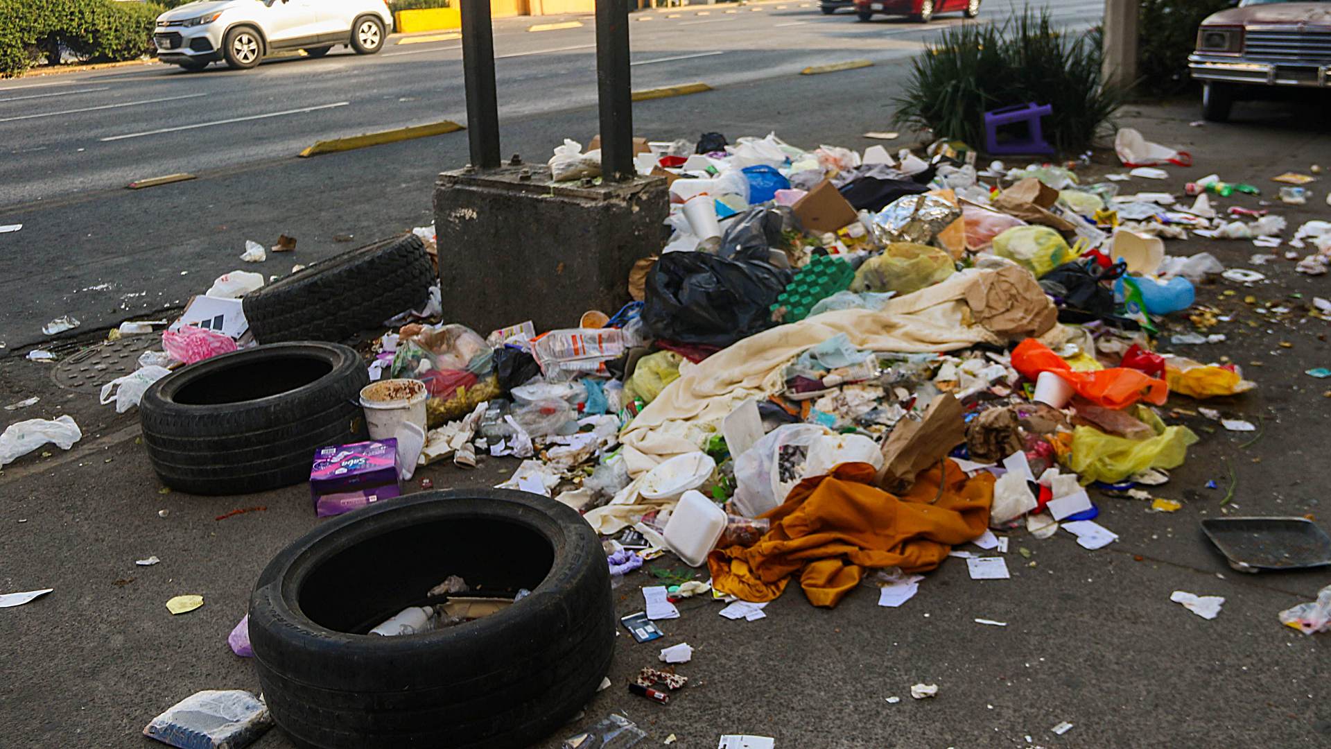 Basuria Anuncian Sanción por Tirar Basura en la Calle en CDMX: ¿Cuánto Es de ...