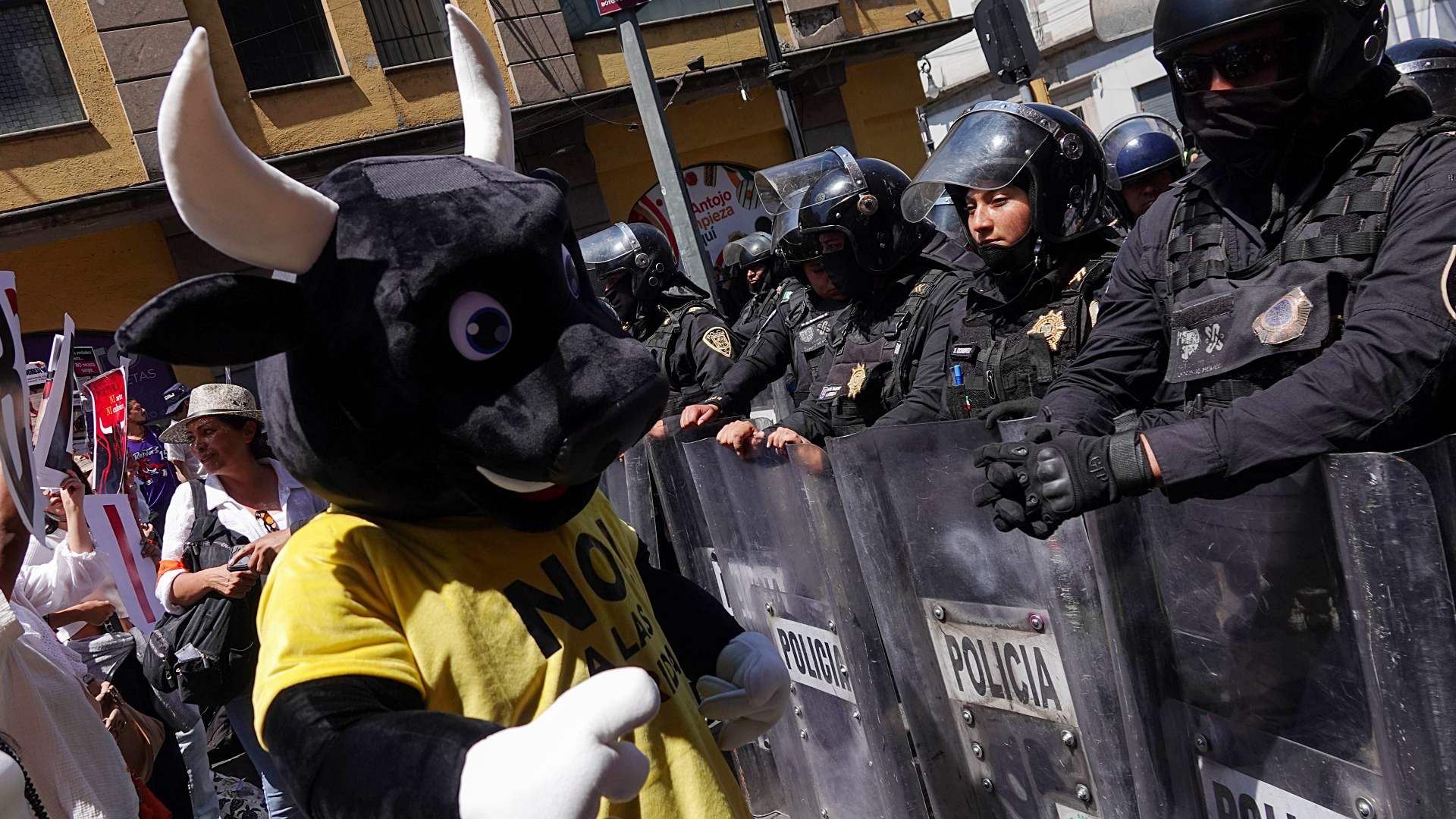 Marcha para Prohibición de Corridas de Toros en CDMX Hoy 18 de Marzo 2025:  Calles Cerradas y Ruta | N+