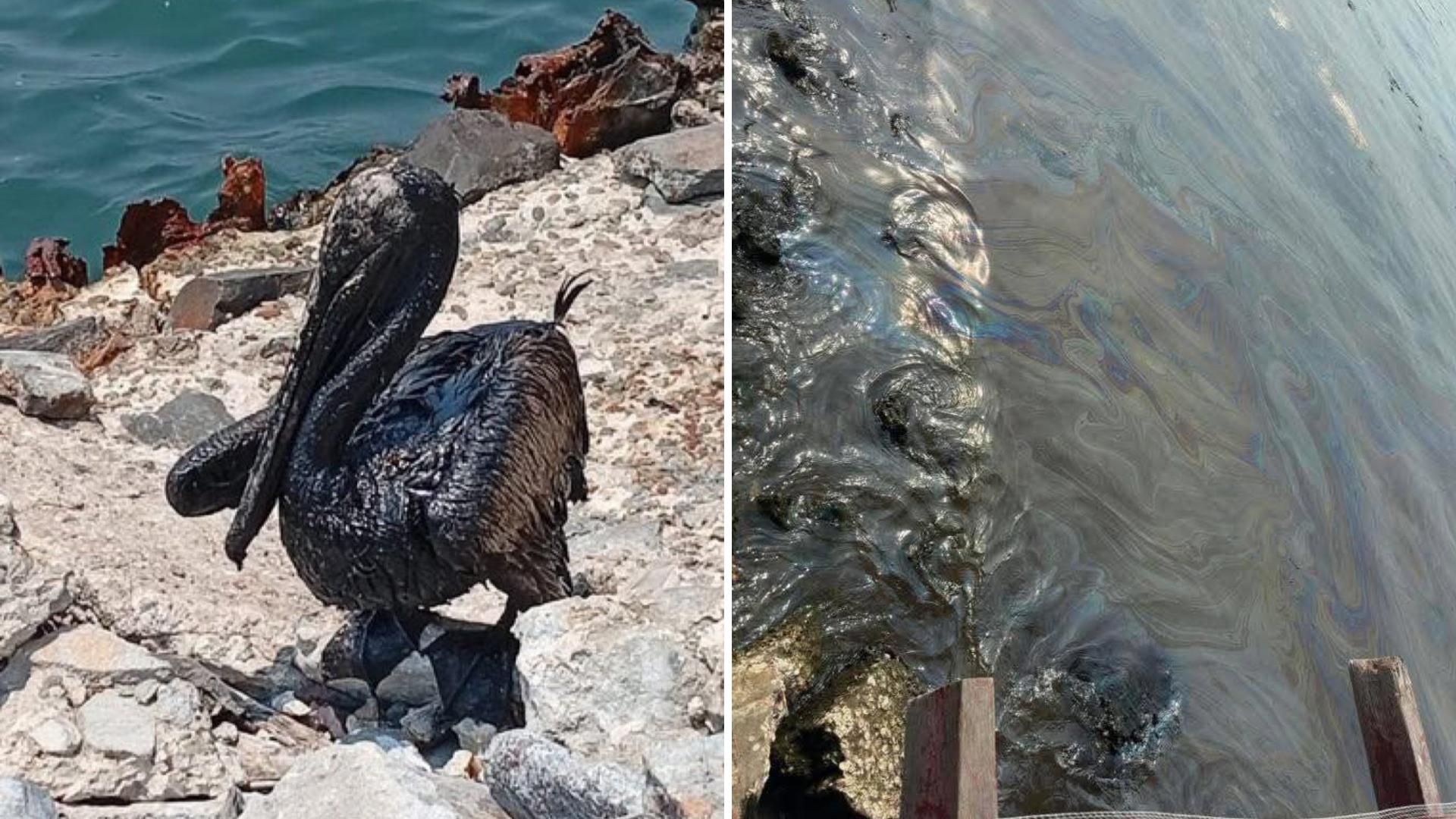 Derrame de Petróleo en Paraíso, Tabasco, Afecta Playas y Ecosistemas; Urgen Atención Inmediata
