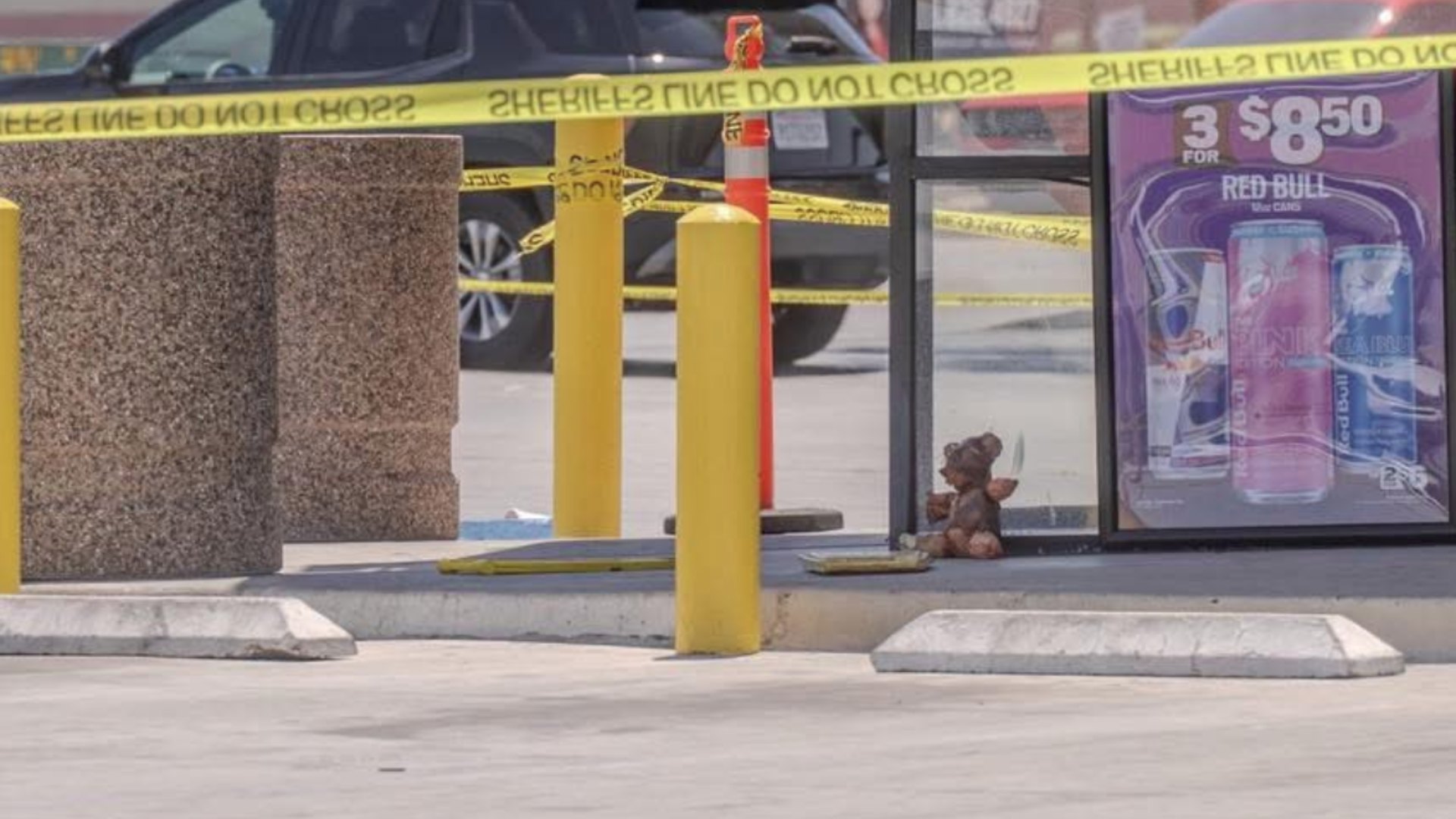 Osito de Peluche Aparece Envuelto con Piel 'Humana' en Parada de Autobús |  N+