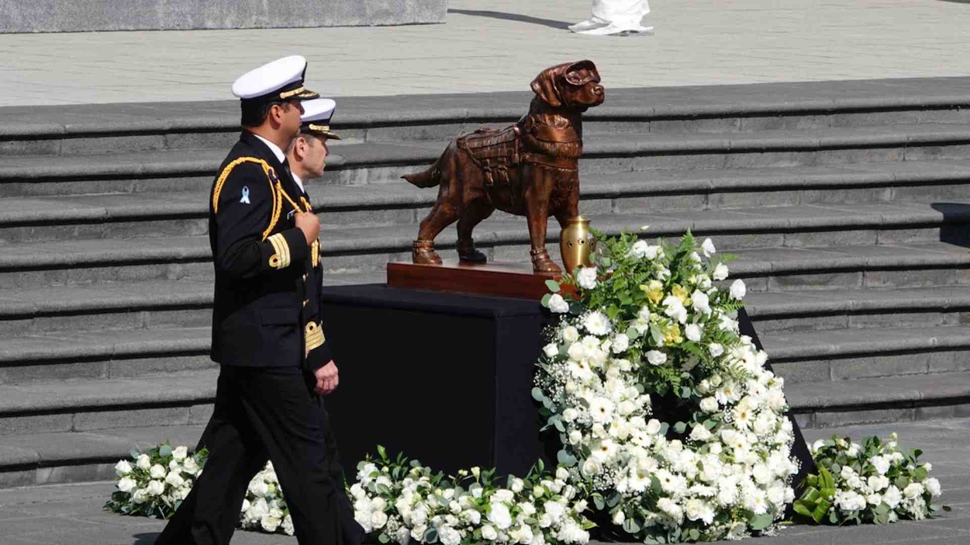 Día Internacional del Perro 2025: Celebración y Conciencia en México