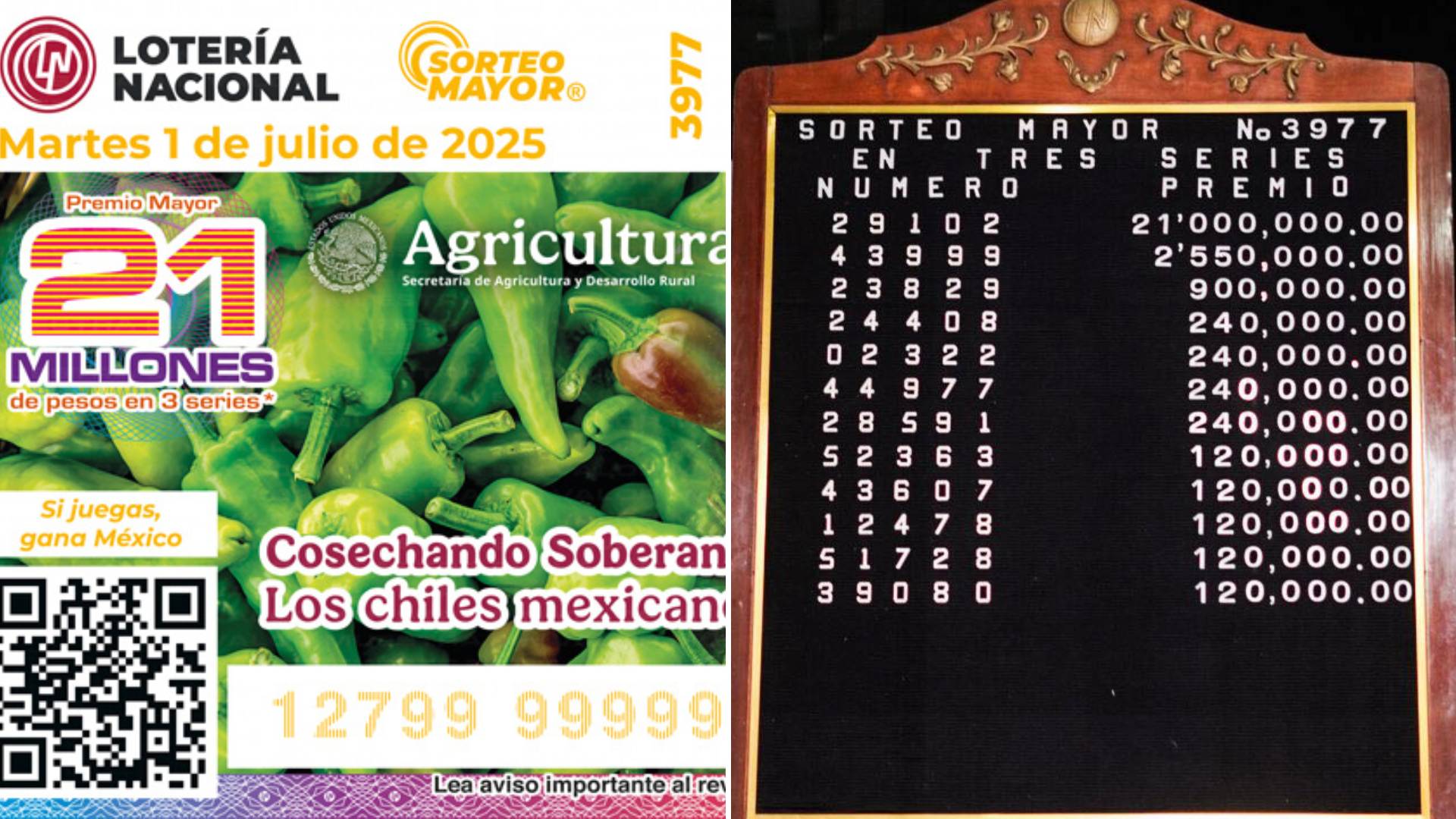 La Mayoria De Loteria Idolo Maestro Aniversario E Premio Borrar