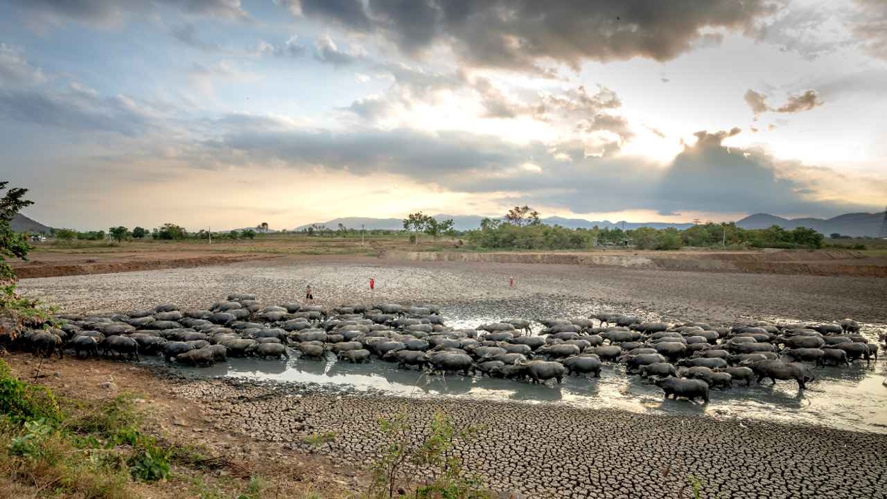 Escasez De Agua Onu Advierte Del Riesgo Inminente De Una Crisis Mundial N