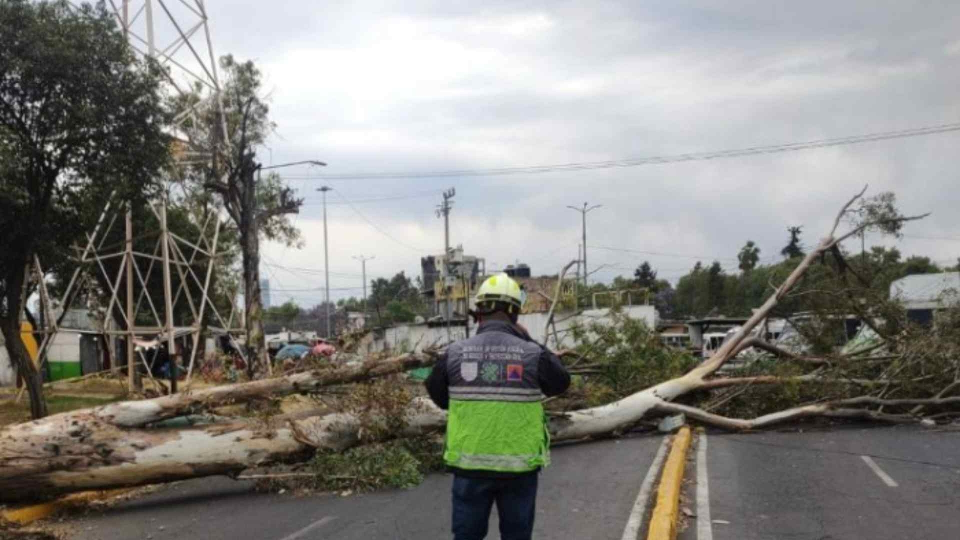 Vientos Fuertes en CDMX Activan Alerta Amarilla N+