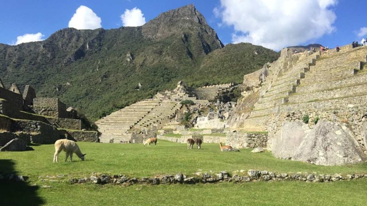 Placa De Oro Que Declara A Machu Picchu Maravilla Del Mundo Ya Apareció N 7469