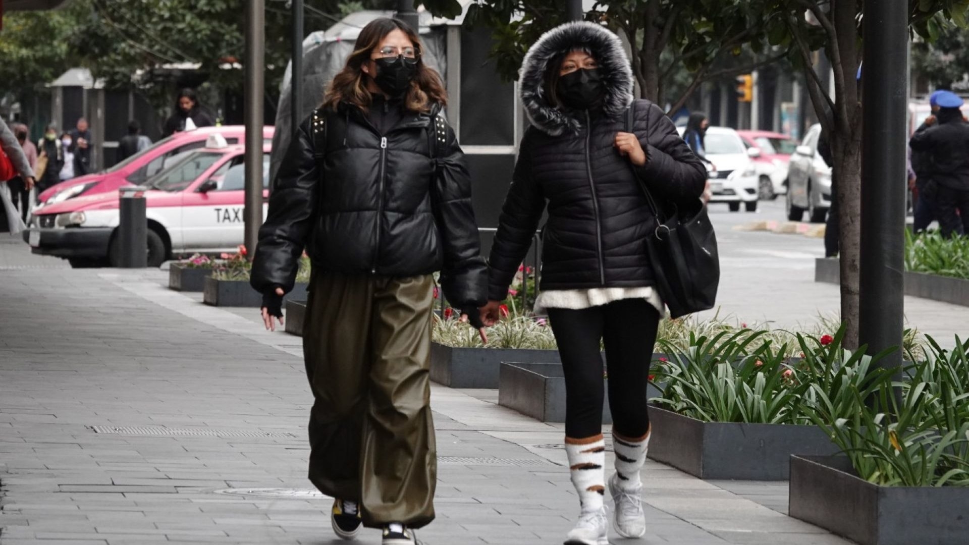 Frente Frío 11 en 2023: ¿Qué Estados Serán Afectados por Bajas Temperaturas en México? | N+