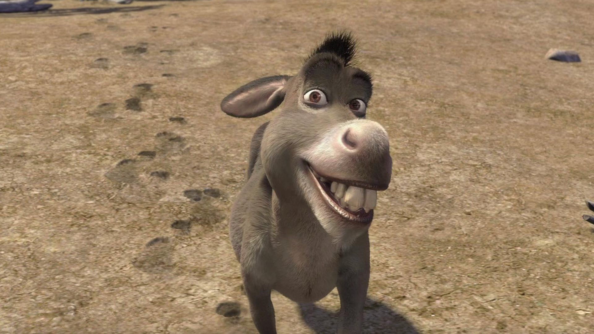 burro shrek