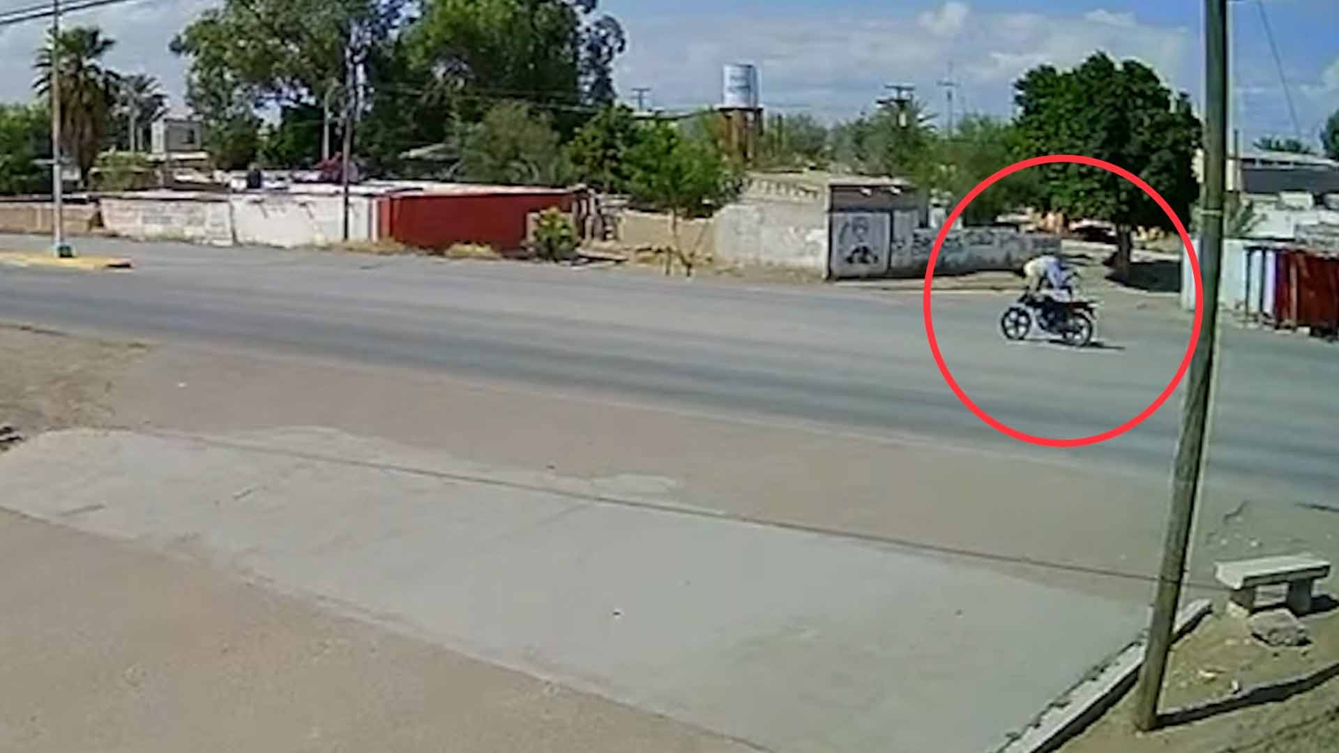 Muere Motociclista al Chocar Presuntamente Mientras Realizaba ...