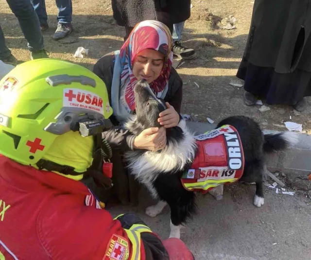Orly, perro mexicano, conmueve a una mujer en Turquía