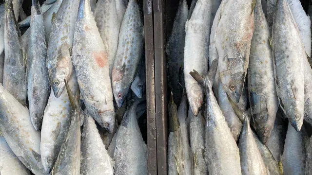 Pescados congelados para su venta en La Nueva Viga 