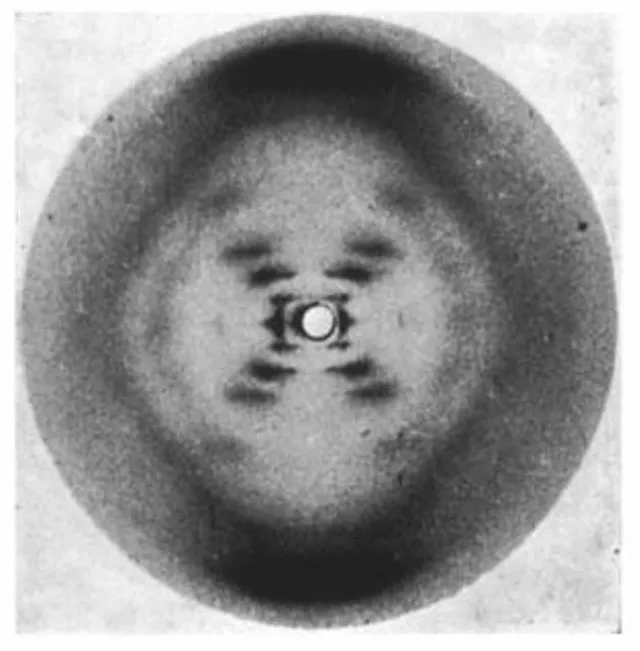 La imagen 51 donde se aprecia la estructura del ADN