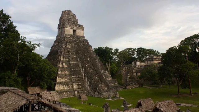 El secreto de la naturaleza que los mayas copiaron para fabricar mortero