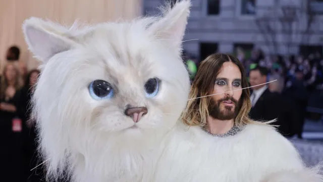 Jared Leto se disfrazó de gatito