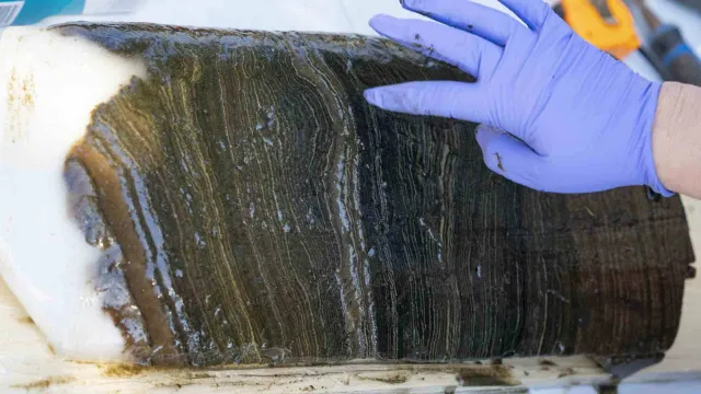 Muestras de capas de sedimentos en Lago Crawford