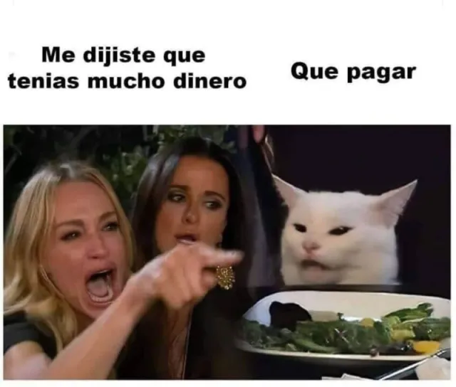 Meme del gato en la mesa y mujer reclamándole: Me dijiste que tenías mucho dinero, que pagar