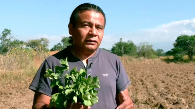 Jorge Velázquez, Defensor de la Tierra en Morelos.