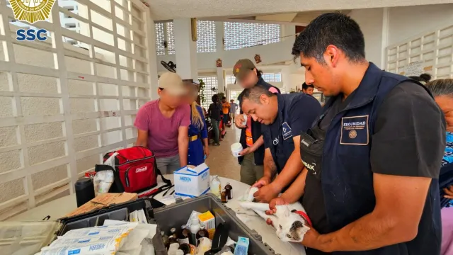 Atención a animales de compañía afectados pr Otis