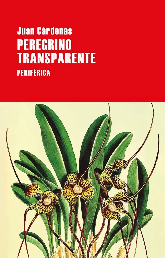 Portada de Peregrino transparente de Juan Cárdenas