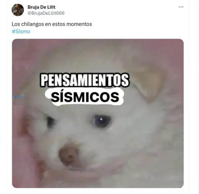 Usuarios reportan “pensamientos sísmicos”