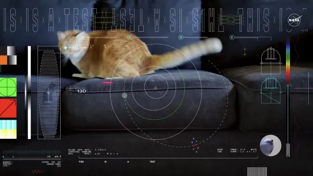 Gato corre detrás de un láser en video enviado por la NASA