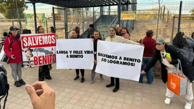 Juarenses festejan el cambio de hábitat de la Jirafa "Benito", que será de Juárez a Puebla | Foto: Silvia Escárcega