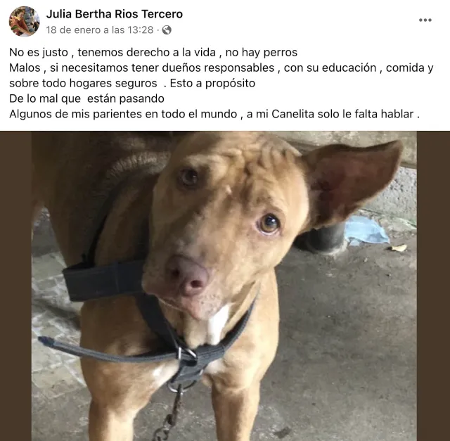 Mensaje de Julia Bertha Ríos en Facebook