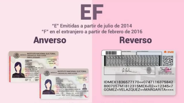 Modelo EF credencial INE