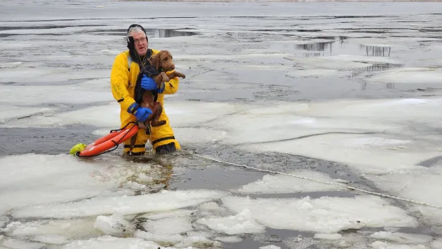 Rescate de perrito que cayó a río congelado