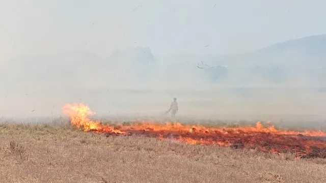 Remolino de fuego en Chiapas