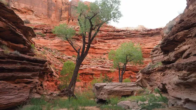 Una de las actividades populares de los turistas es caminar por uno de sus cañones. 