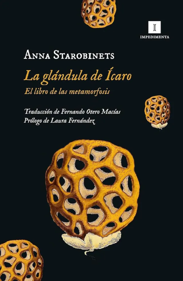 Portada de La glándula de Ícaro de Anna Starobinets